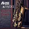 Ahzee & Faydee - Burn It Down - Single (Radio Edit) - Single
